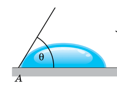 0600yagk-89f5-231x178.png