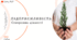 § 25. Підприємливість. Створення цінності. 6 клас. О. Шиян