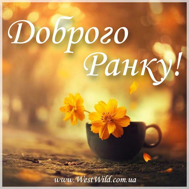 Привітання з Добрим ранком в картинках. Осінь | Good morning images, Good morning, Morning images