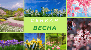 Творчий процес - технологія "Сенкан". Пори року - ВЕСНА