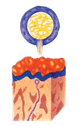 0600yeaz-c610-80x126.png