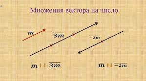 13.03 9клас геометрія
