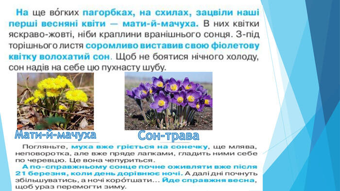 Урок "Досліджуємо текст. Весняні зміни в природі. О. Копиленко «Весна іде». Образ весни в поезії. І.Франко «Надійшла весна прекрасна …»"