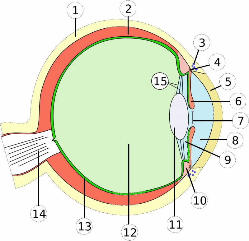 0600yiva-9feb-800x775.png