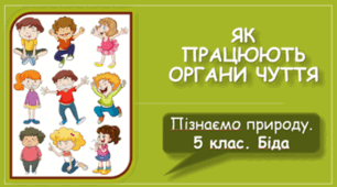 Як працюють органи чуття