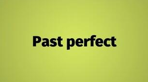  Past Perfect