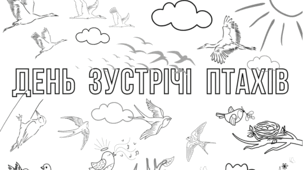 Розтяжка + мега розмальовка "День зустрічі птахів"