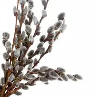 0600ympq-4734-198x198.webp