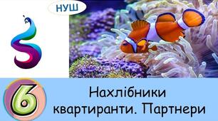 Партнери. Нахлібники і квартиранти. 