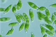 0600yp3f-3401-179x119.png