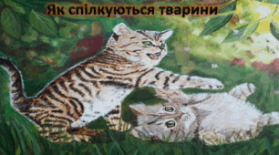 Презентація "Як спілкуються тварини "