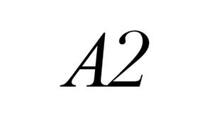 Англійські слова, які потрібно знати всім (Дієслова)