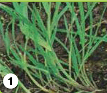 0600ytz5-516d-218x189.png
