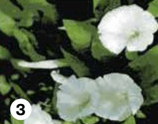 0600ytzz-0608-229x180.png