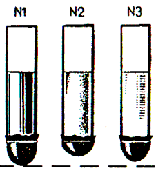 0600yuei-4665-226x251.png