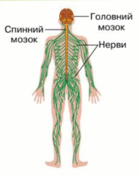 0600yw2r-9fb4-197x249.png
