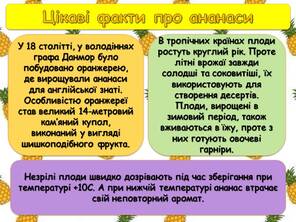 0600ywef-1cdf-296x222.jpg