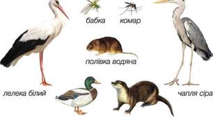 Презентація "Які тварини живуть на луках, у степах і водоймах?"