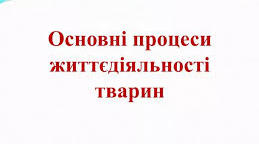 Контроль знань «Процеси життєдіяльності тварин»