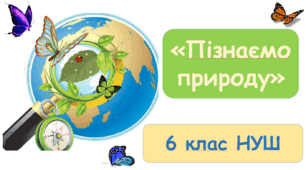 Підсумкова контрольна робота № 2 з інтегрованого курсу «Пізнаємо природу» 6 клас, НУШ