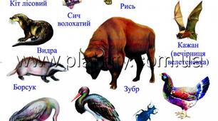 Червона книга тварин