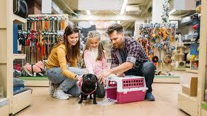 Pet shop insurance from £3.19 per month - Simply Business UK