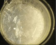 0600z9pj-f961-218x174.png