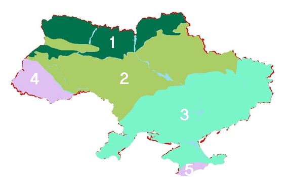 0600zb5g-c120-571x350.png