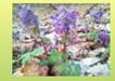 0600zbwu-d623-106x75.jpg