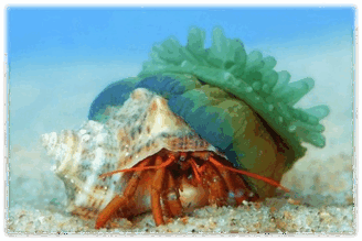 0600zi9c-b015-328x219.png
