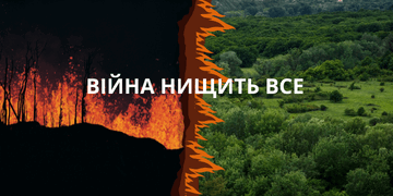0600zj8o-f6fb-360x180.png