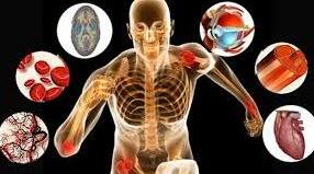  Лабораторні дослідження 7: Визначення акомодації ока; виявлення сліпої плями на сітківці ока;