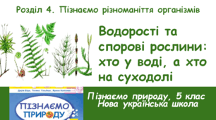 Водорості та спорові рослини: хто у воді, а хто на суходолі та як їх розрізнити