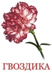 0600zs3i-c522-169x235.png