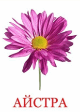 0600zs3k-5228-165x232.png