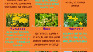 Робочий лист "Лікарські рослини"