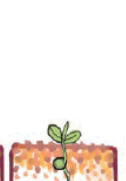 0600zwo6-d9a7-126x181.png