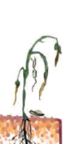 0600zwp7-0230-93x210.png