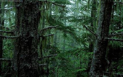 060101dp-abb8-433x270.jpg