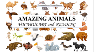 Презентація на тему "Amazing animals?" (vocabulary and reading) 6 кл НУШ