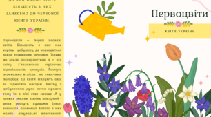 Первоцвіти Буклет, Рекламний флаєр, розмальовка
