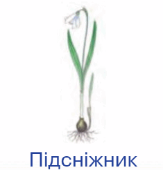 060104mm-cc39-235x246.png