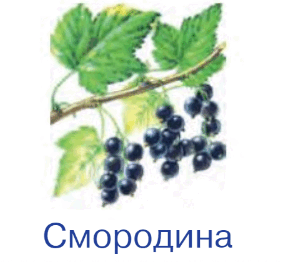 060104mr-084c-283x265.png