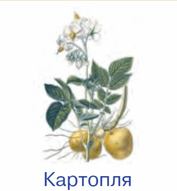 060104n0-ee89-356x384.png