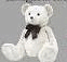 060107j5-6e76-62x57.png