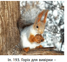 060107zt-70b7-216x202.png