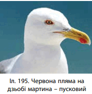 0601080y-ee64-184x189.png