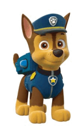0601085g-c509-166x250.png