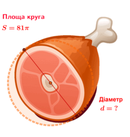 06010aez-5ef6-455x480.png