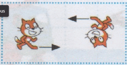 06010bsu-d12b-507x258.png